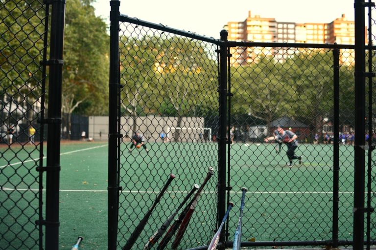 Experience the Thrill of Fantasy Cricket with Zack Plays!
